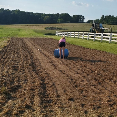 Suellen rolling flower seeds with our makeshift roller