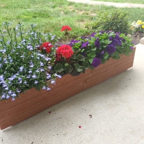 Phlox, geraniums, and petunias on the porch