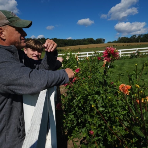 A father and son talk as they observe their dahlia crops standing beneath a blue sky with clouds