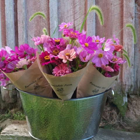 cut flower farm, wrapped flower bourquets, pink, Barnesdale Farm