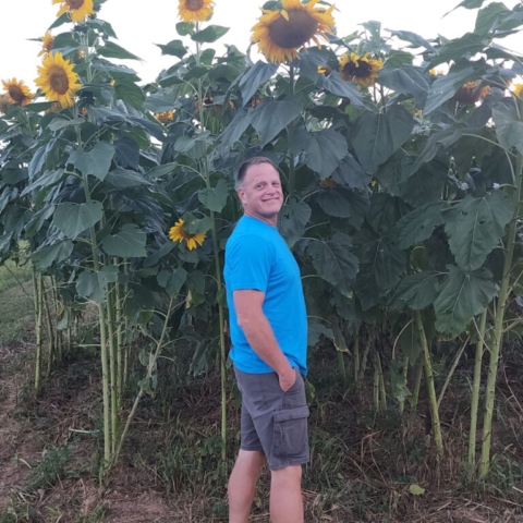 A six foot blonde man posing besideten to twelve foot mammoth sunflowers