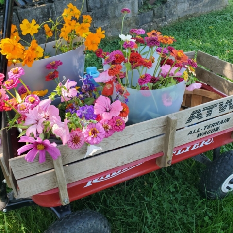 Red wagon filled with blooms