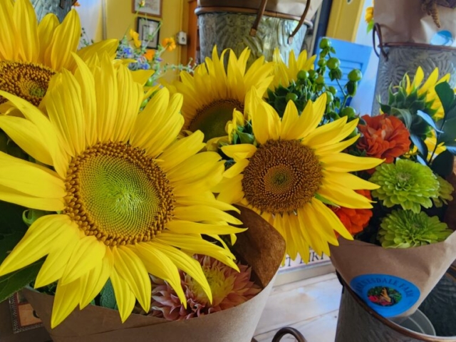 four bright yellow sunflowers sitting in bouquet in flower farm market