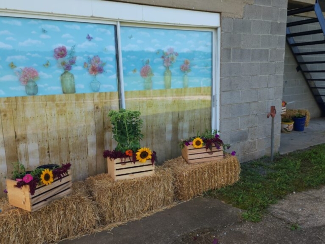 Decorated dairy window with three hay bales and flowers in front of it