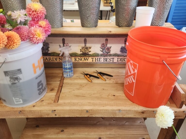 Wooden table with buckets of dahlias and water and snips