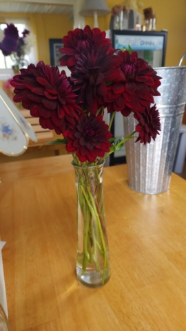 Burgundy dahlias in a tall vase atop a wooden table with a tin floral bucket in the background