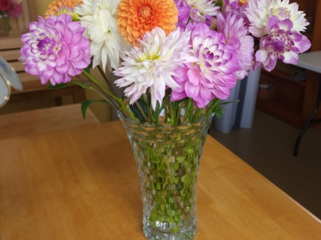 Lavender, White, and Orange dahlias in textured glass vase atop wooden table